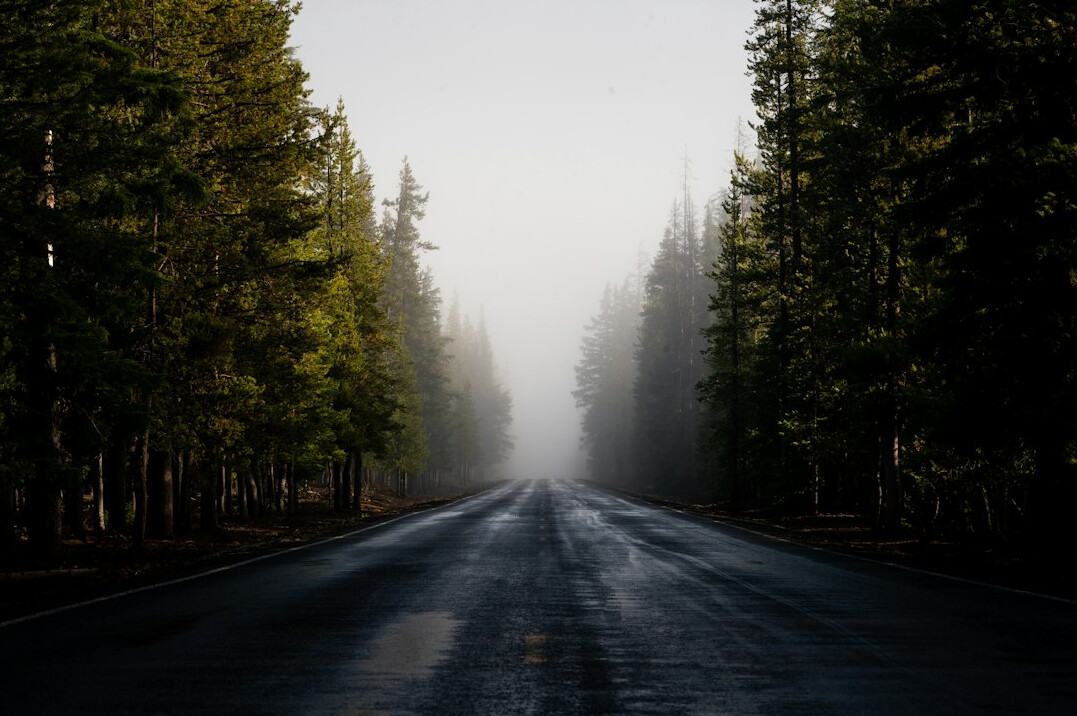 Misty forest road in the early morning fog
